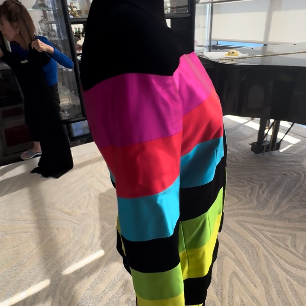Bold Multicolor Striped Jacket and Dress - Picture 6 of 11